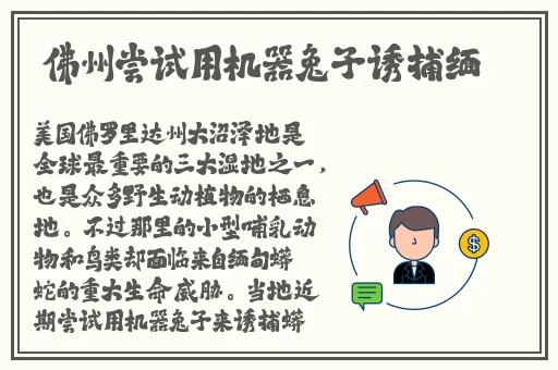 打屁屁小游戏